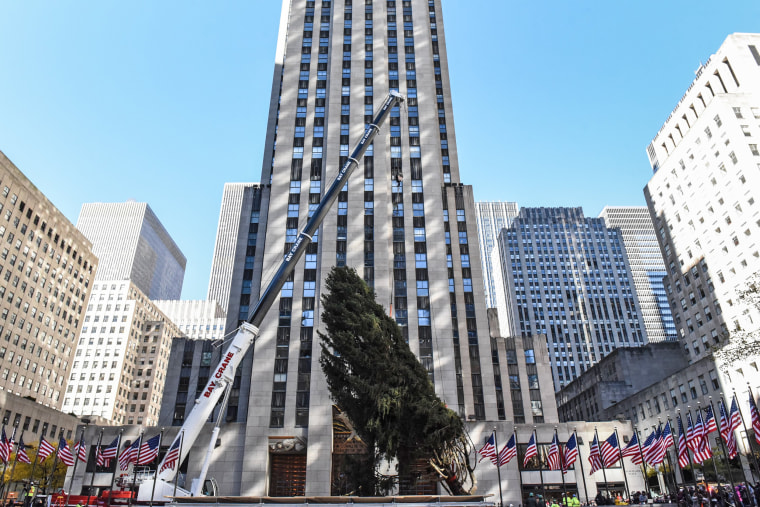 Image: Rockefeller Center Christmas Tree Arrives In New York City