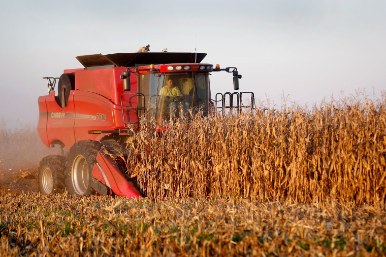 Image: The Heartland Enters Harvest Season