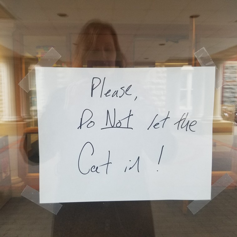 Max the cat banned from library