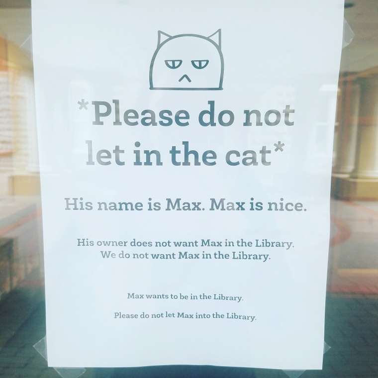 Max the Cat: Where is he now? - The Mac Weekly