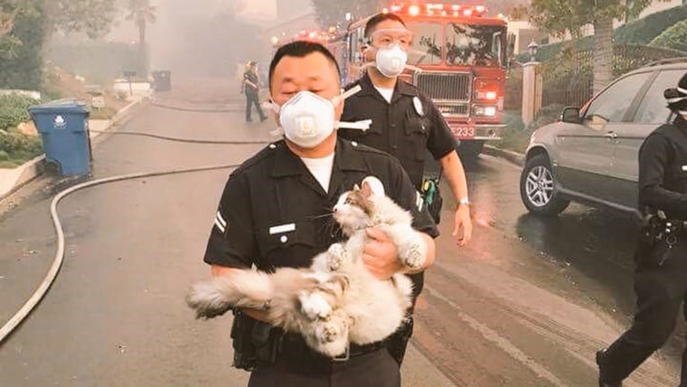 LAPD Officer Tae Kim carries a cat he found while helping evacuate a neighborhood affected by the Skirball Fire.