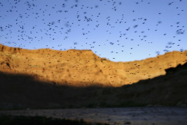 Image: Five-year Drought Threatens Colorado River States' Water and Power