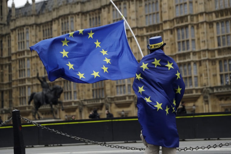 Image: E.U. supporter near the Houses of Parliament