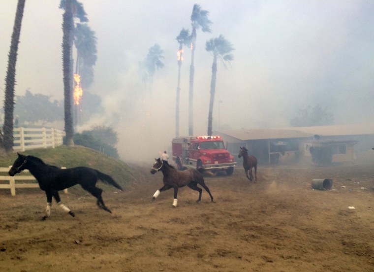 Image: Lilac Fire in San Diego