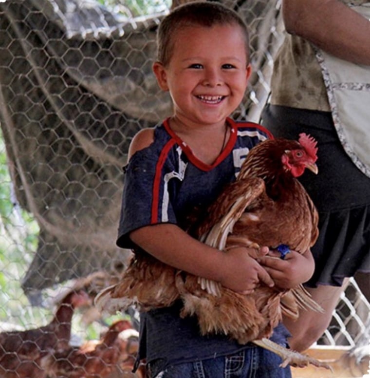 Boy holding a chicken