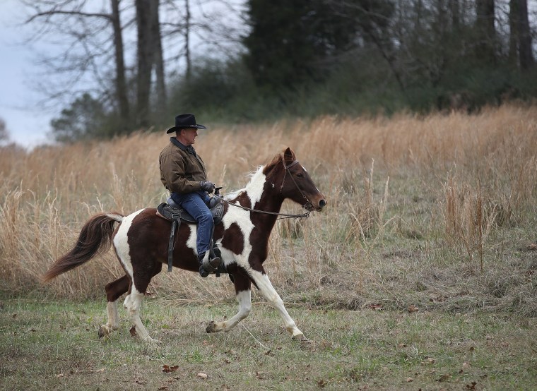 Image: GOP Senate Candidate Judge Roy Moore Arrives At Polling Station To Vote By Horseback