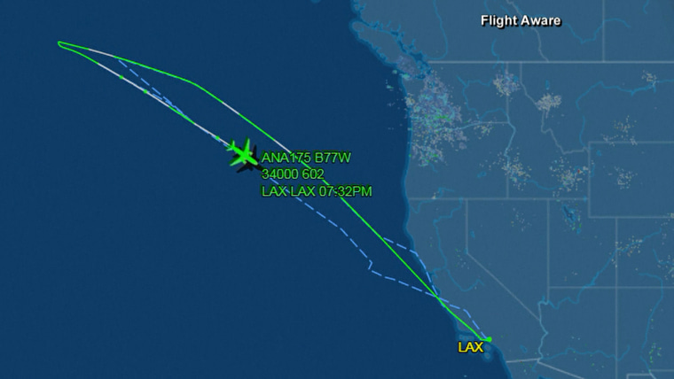 Plane en route to Tokyo turns around and goes back to LA