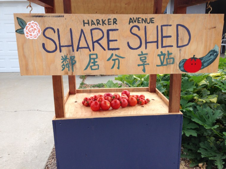 Garden grown tomatoes ready for sharing, courtesy of the "Share Shed."