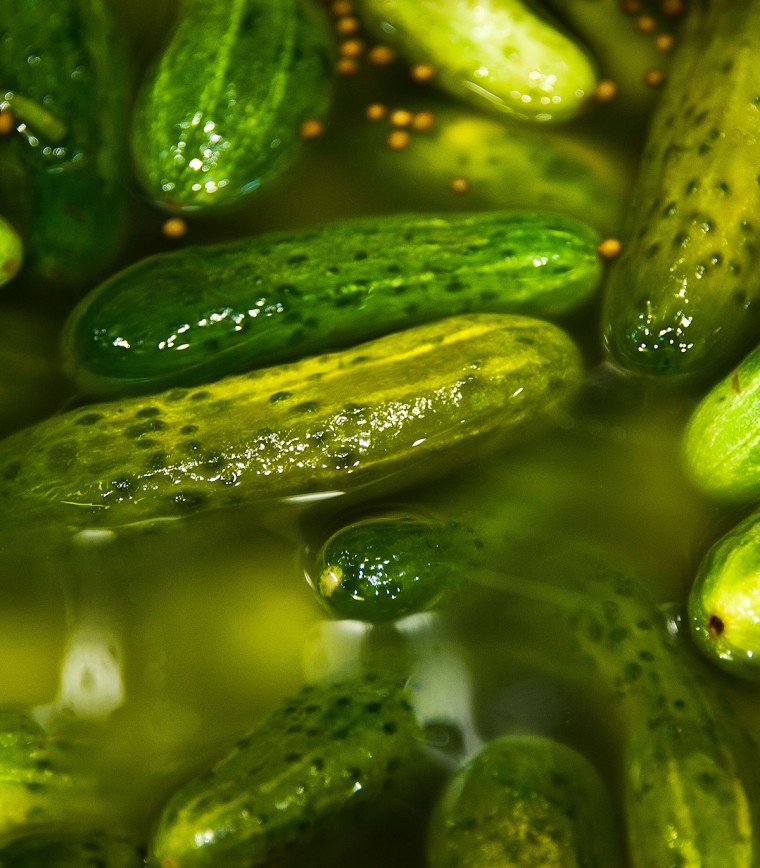 Pickles in Brine