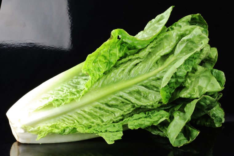 Romaine lettuce on a black background (Lactuca sativa L. var. longifolia)