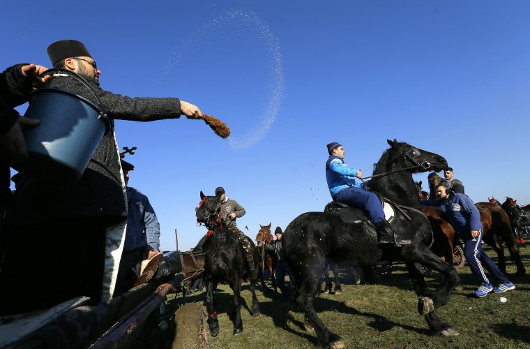 Image: Epiphany Horse Race