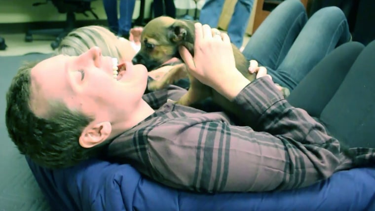 Courtney Gessford covered in puppies at the Front Street Animal Shelter, in Sacramento, California.