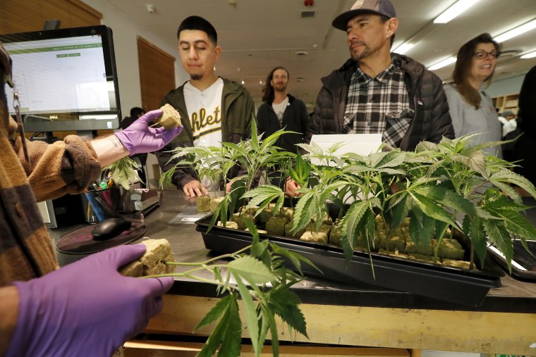 Image: California Legalized Recreational Marijuana Use