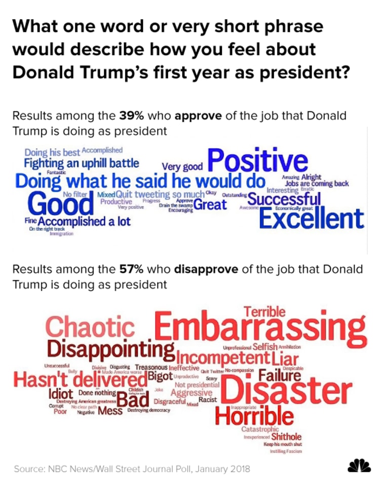 What one word or very short phrase would describe how you feel about Donald Trump's first year as president?