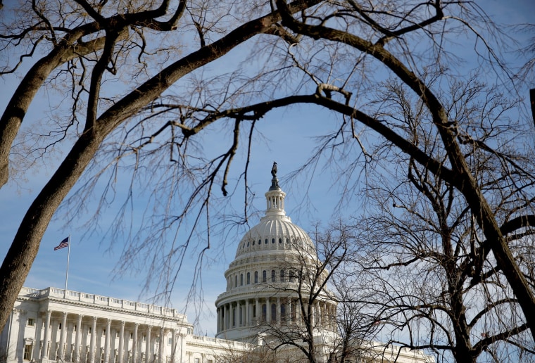Image: The U.S. Capitol is seen from behind trees after President Donald Trump and the U.S. Congress failed to reach a deal on funding for federal agencies in Washington, DC, on Jan. 20, 2018.