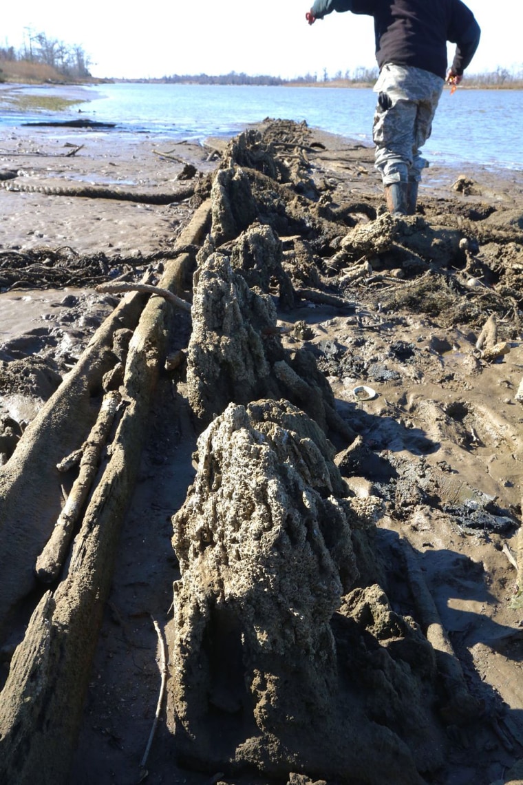 Image: A row of giant timbers running down the starboard side of the boat, and the outerplanking next to it. The rope is a modern rope that washed up here.