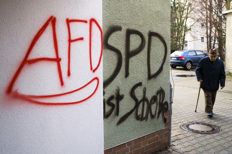 Image: AfD in Germany