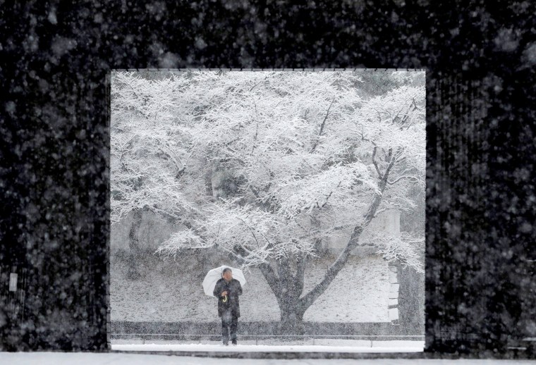 Image: A man makes his way through heavy snow at the Imperial Palace in Tokyo