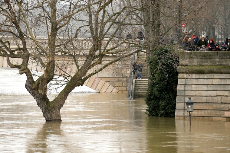 Image: A street lamp and a tree are seen on the flooded banks of the River Seine in Paris