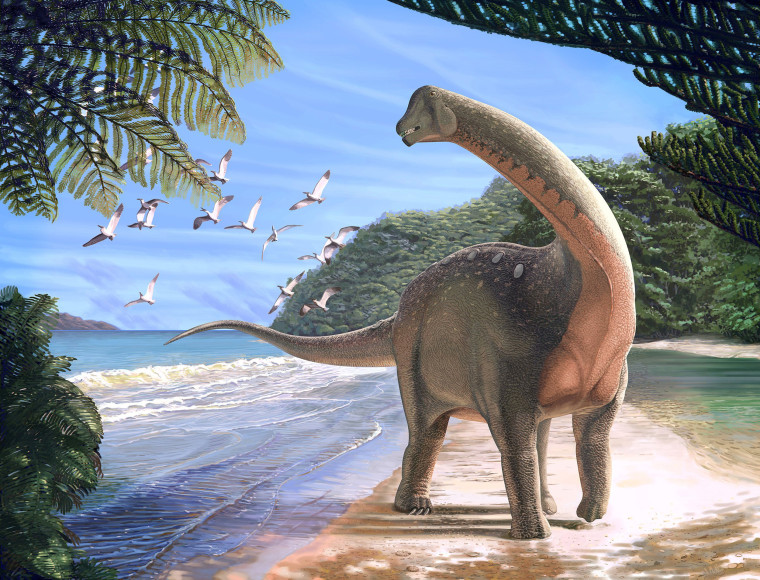 Image: Artist's life reconstruction of the titanosaurian dinosaur Mansourasaurus shahinae on a coastline in what is now the Western Desert of Egypt approximately 80 million years ago is pictured in this handout image