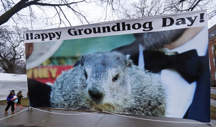Image: Punxsutawney Phil predicts the Weather on Groundhog Day