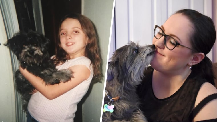 woman adopts dog her parents gave up to shelter a decade earlier