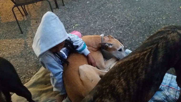 Sad library dog attracts tons of kid readers