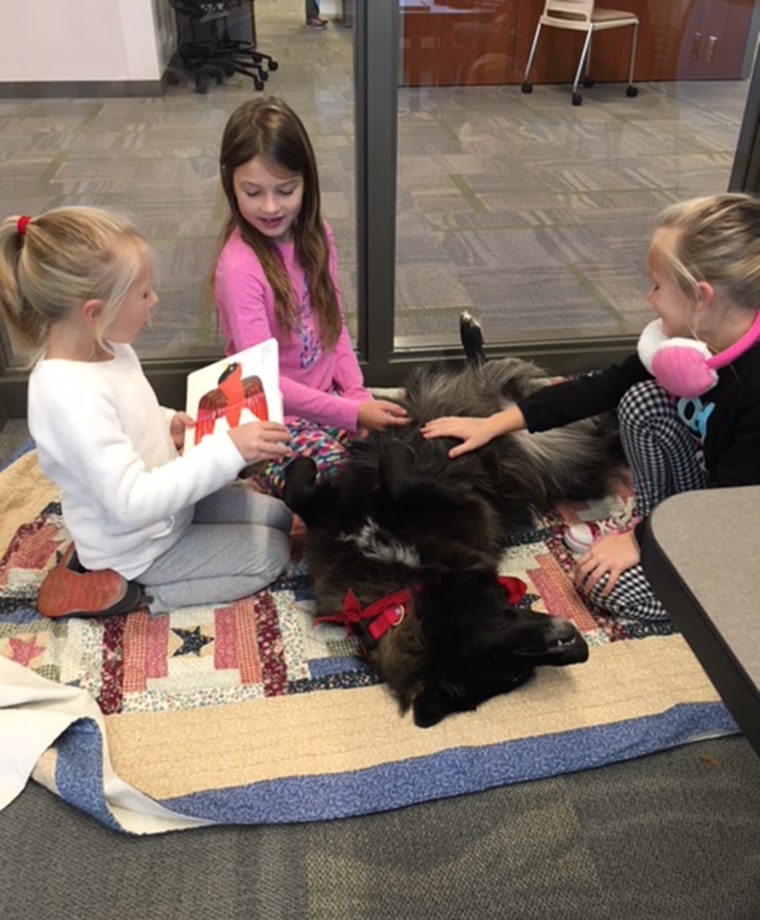 Sad library dog attracts kid readers