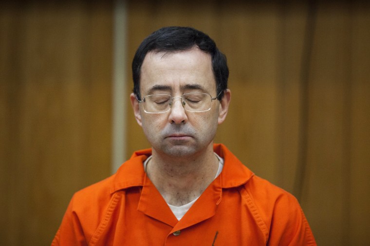 IMAGE: Larry Nassar 