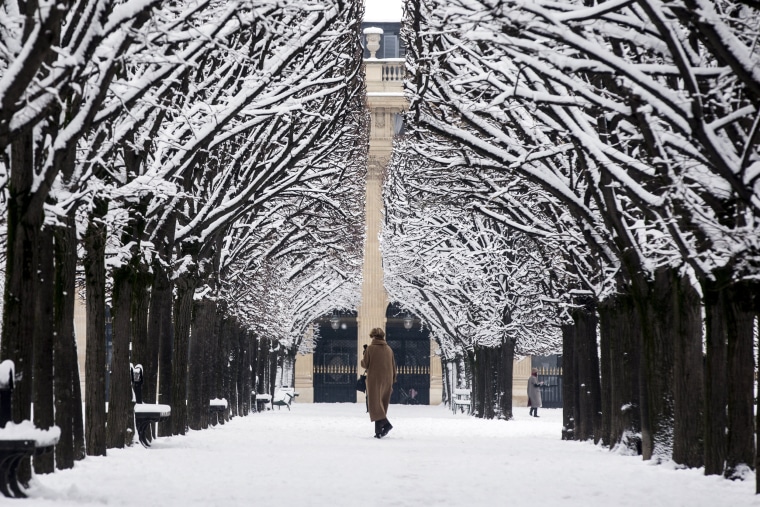 A woman walks between trees at the Palais Royal Park in Paris on Feb. 7.