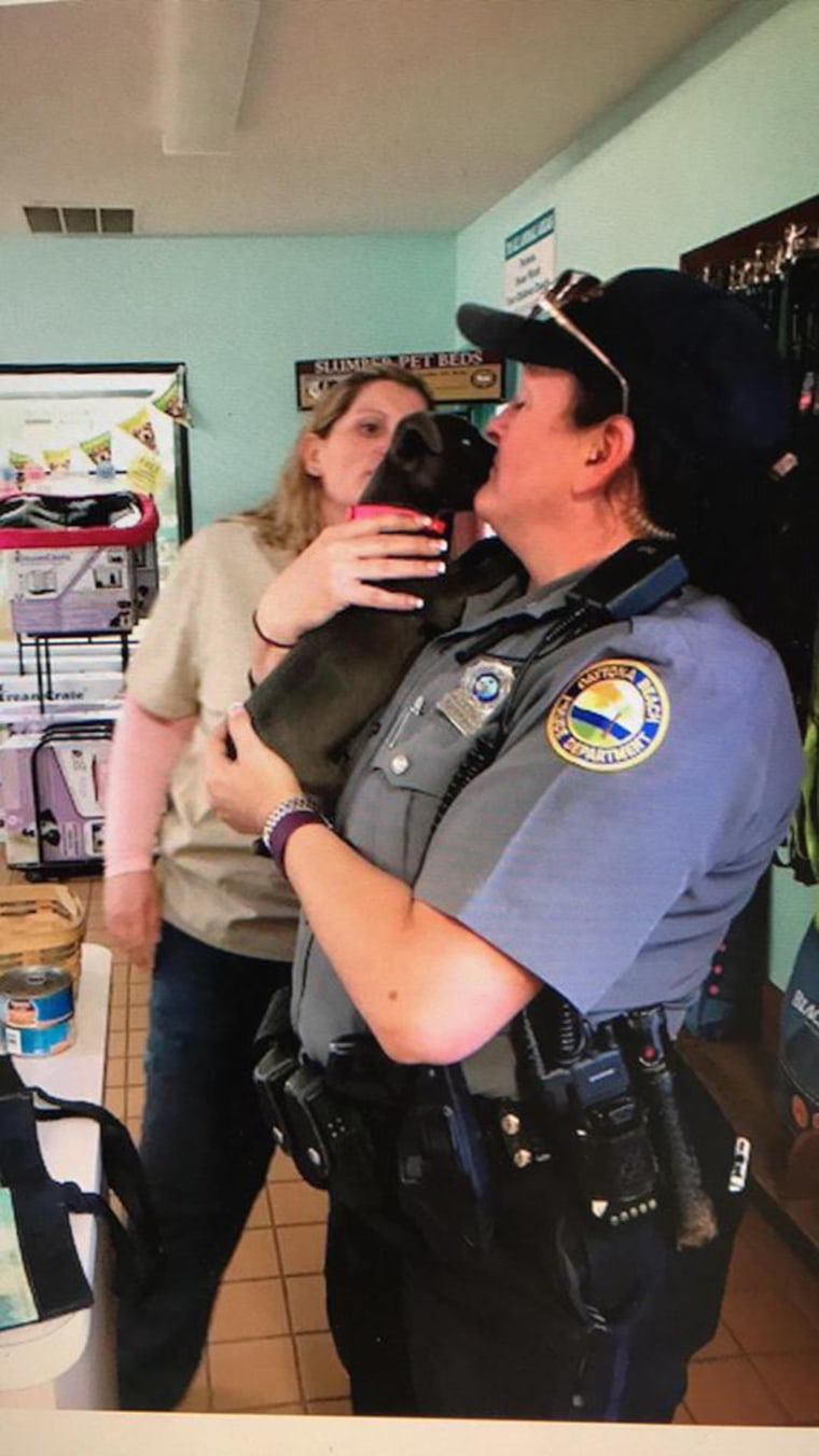 Dog abandoned by river is rescued by animal control officers, and adopted