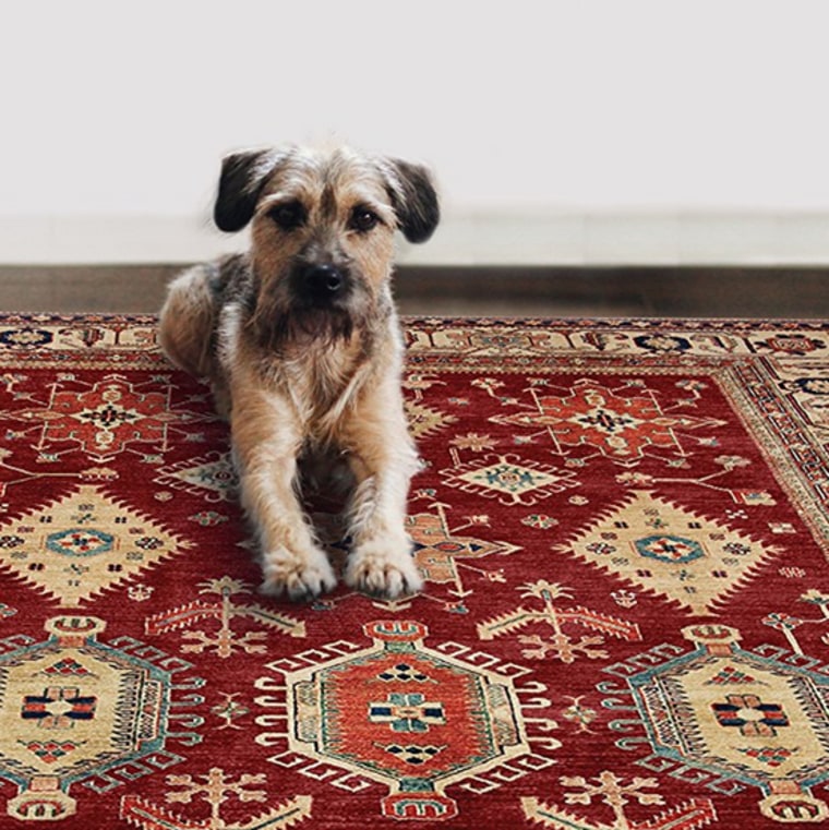 Muddy paws are no match for our washable and spillproof rugs! 📸  @prouddogmomblog Rug: Tabor — Natural/Ash #washablerug #homeinterior…