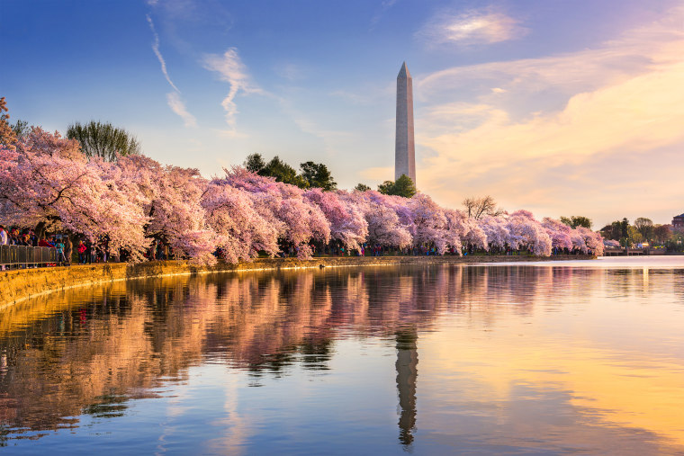 Washington DC in Spring