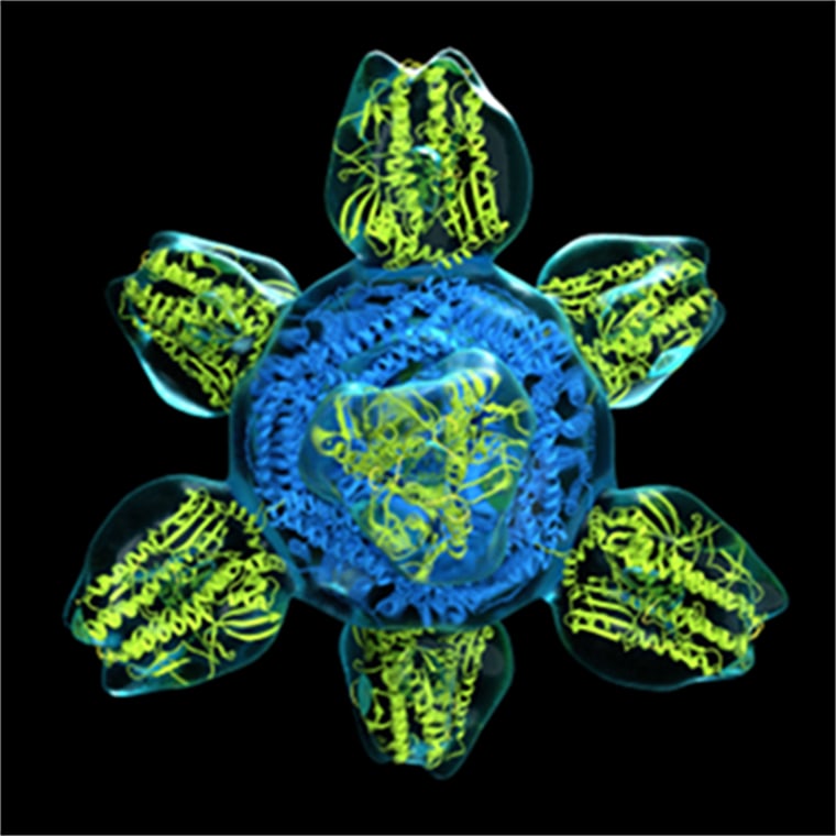 Image: A prototype for a universal flu vaccine