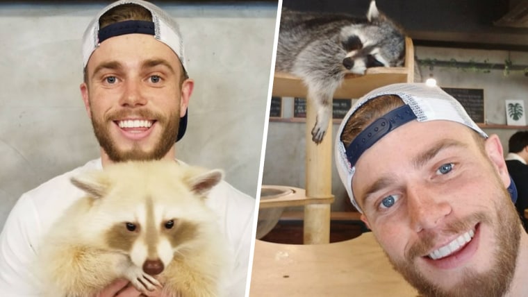 Gus Kenworthy visits a South Korean raccoon cafe