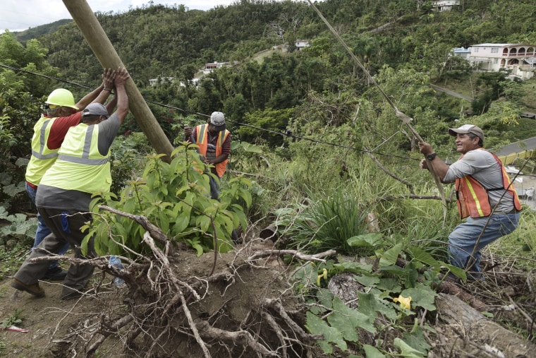 Image: Municipal workers install power poles