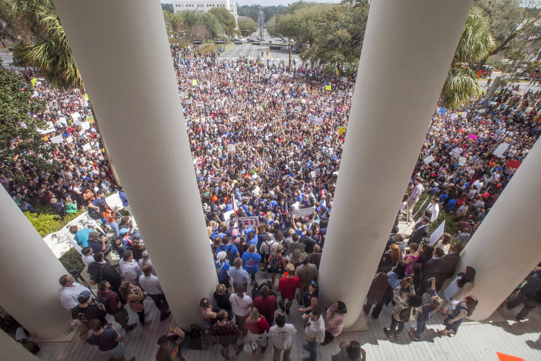 Image: Rally for Gun Reform