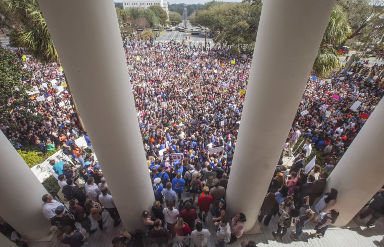 Image: Rally for Gun Reform