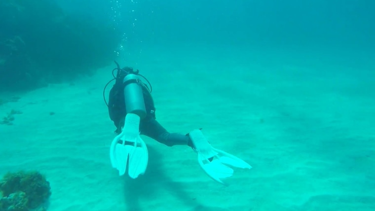 Rossen Reports producer LIndsey Bomnin goes scuba diving.