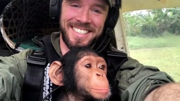 Pilot rescues an orphan chimp