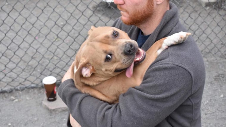 Dog returned to shelter for being "too nice"