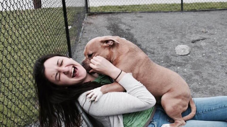 Dog returned to shelter for being "too nice"
