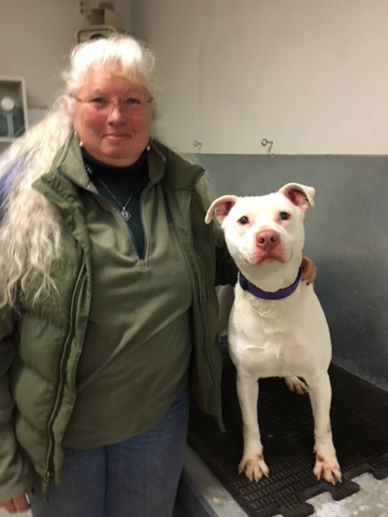 Ghost the K-9 with Barbara Davenport