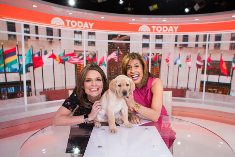 Sunny with Savannah Guthrie and Hoda Kotb