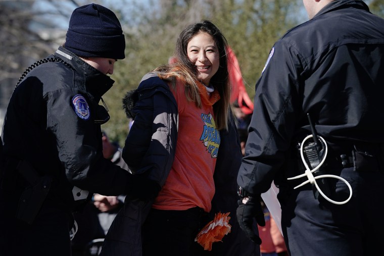 Image:An immigration activist is arrested during a protest in Washington