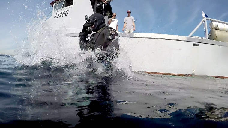 Image: Mike Neill dives off the coast of Long Beach, California, in December 2017.