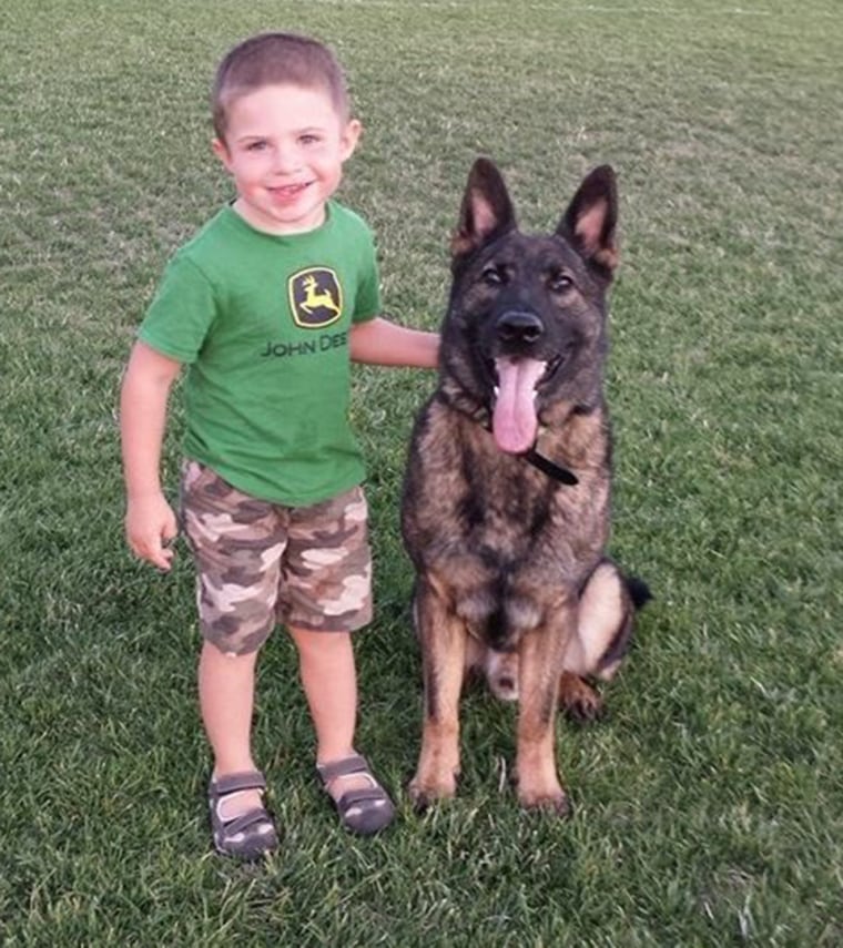 German shepherd Irgo with his family