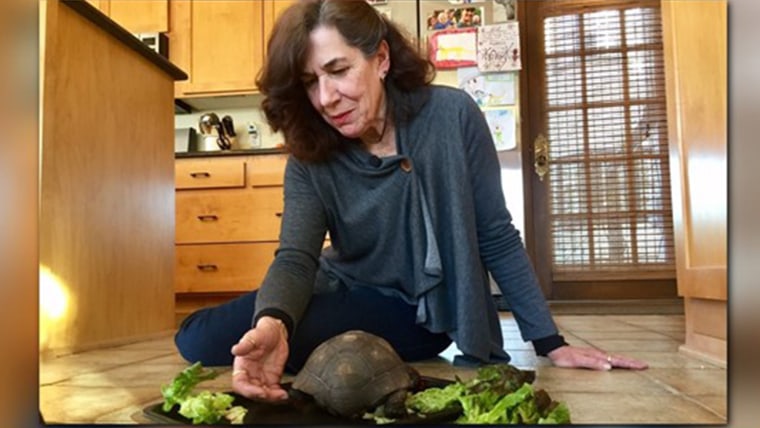 Jeanna Smith feeds pet turtle
