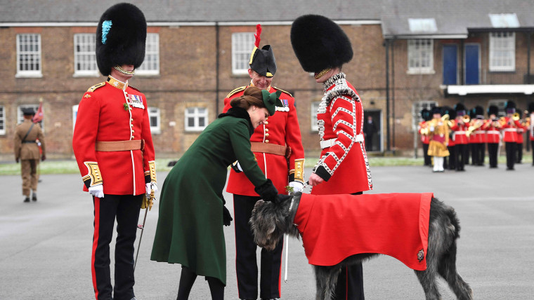 Image: BRITAIN-ROYALS-MILITARY-FESTIVAL-ST PATRICK'S