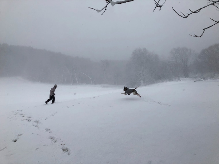 Image: Madeline Marinovich, 11, and her dog Whizzby play during a nor'easter